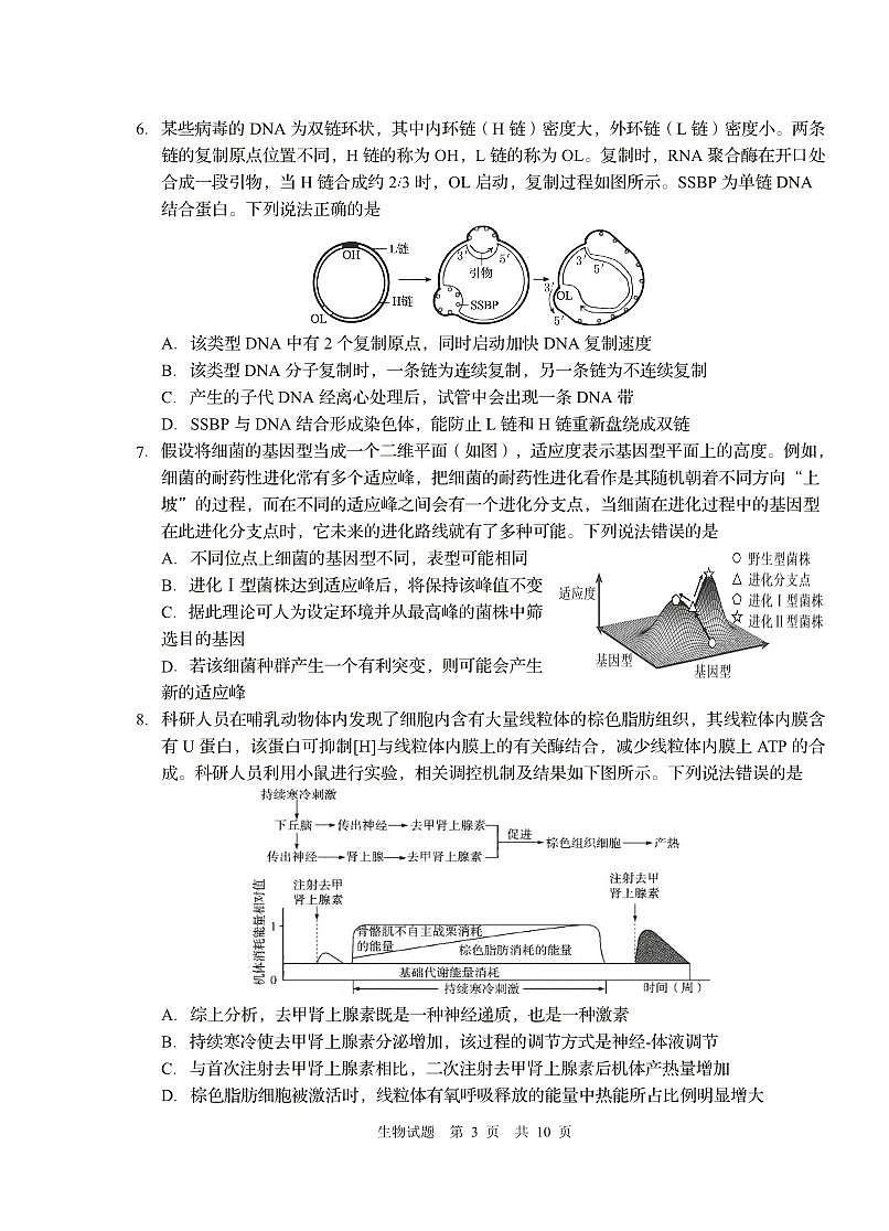 山东省青岛市2025年高三年级第三次适应性检测生物第3页