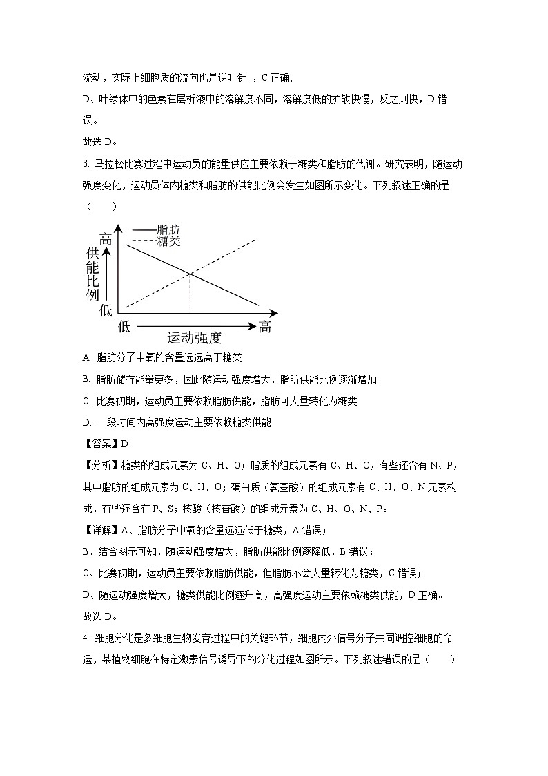 2025届河南省部分重点高中新未来4月大联考模拟预测生物（解析版）第3页
