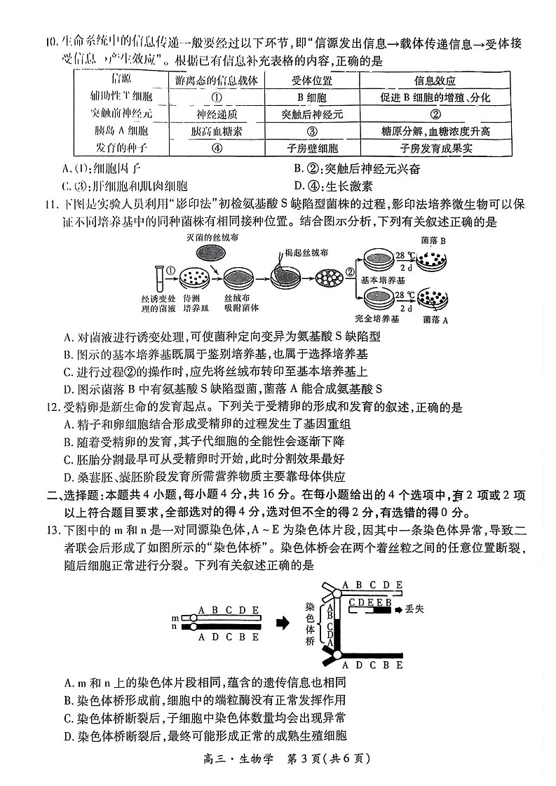 2025届江西省上进联考“红色十校”高三第一次联考-生物试卷（含答案）第3页