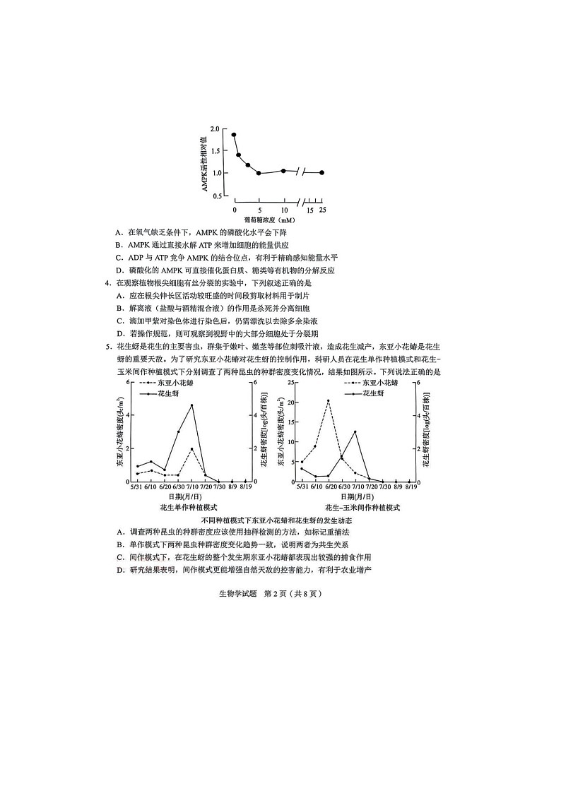 安徽省合肥市2025届高三5月质检联考（合肥三模）生物试卷含答案第2页
