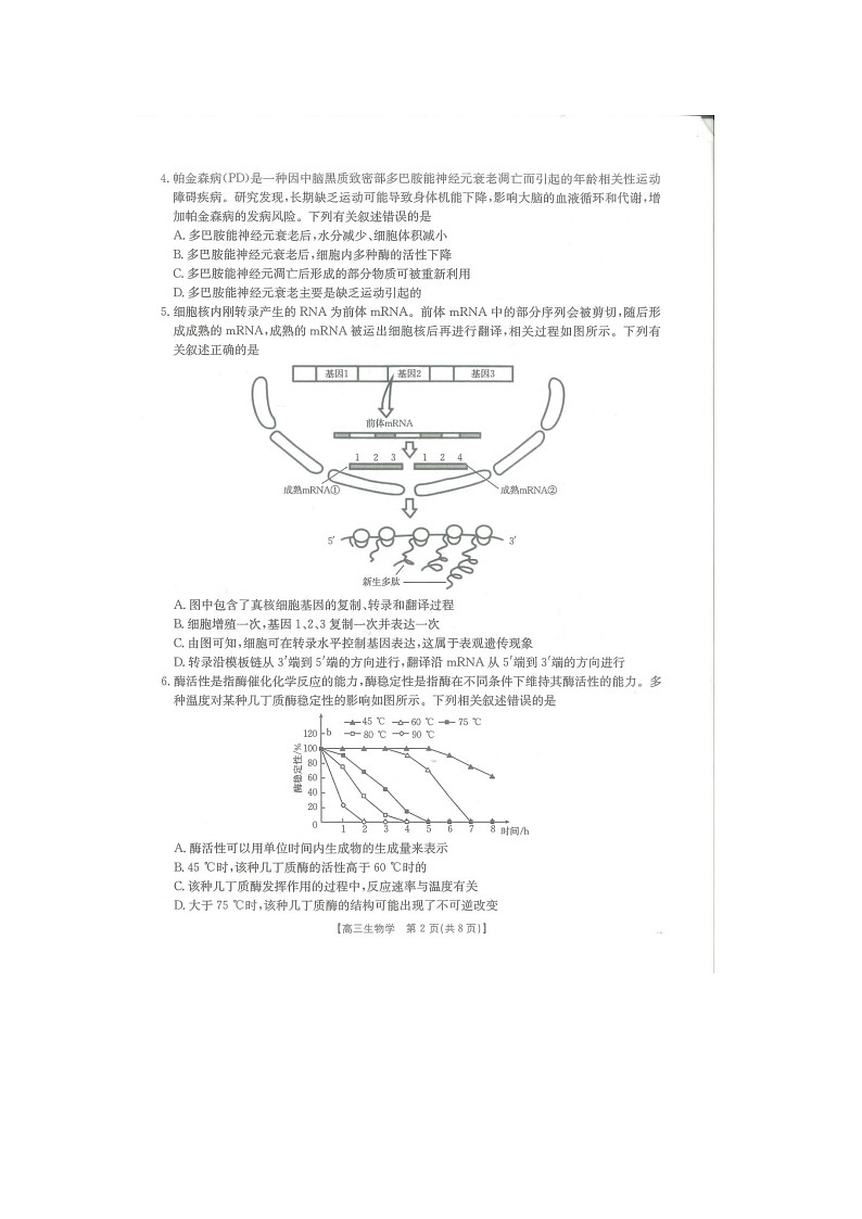 江西省2025届高三金太阳5月三新协同教研共同体考试生物（25-490C）试卷含答案第2页