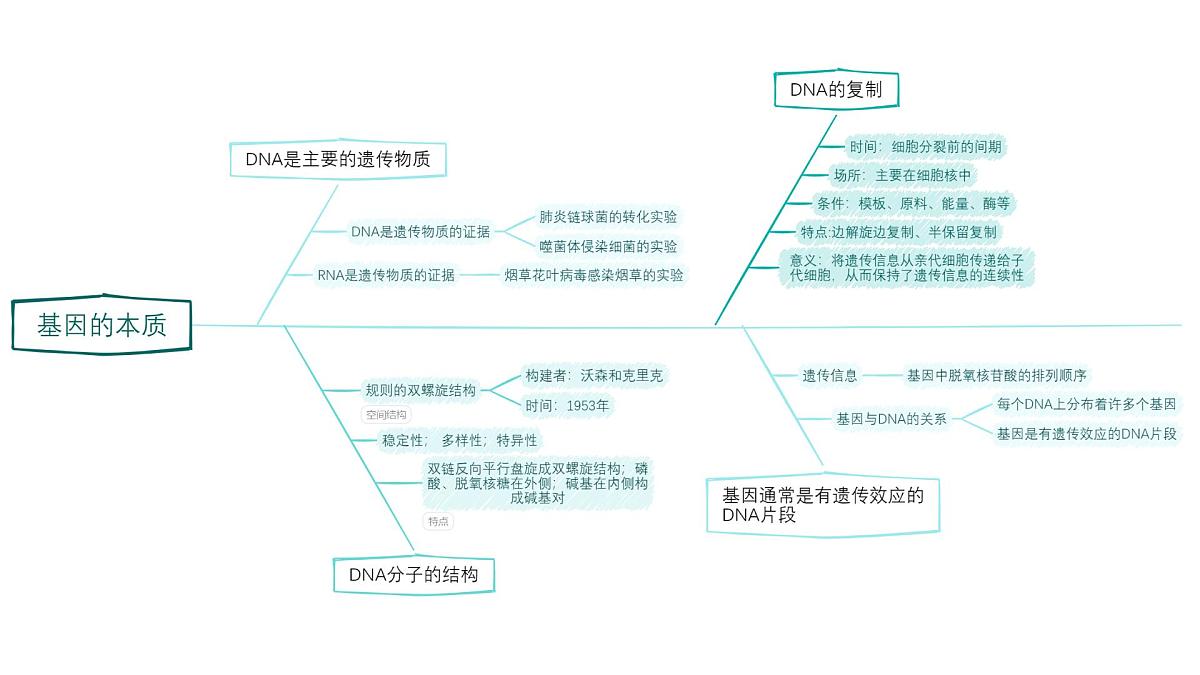 人教版（2019）高中生物必修二第3章基因的本质 章末总结 课件第4页