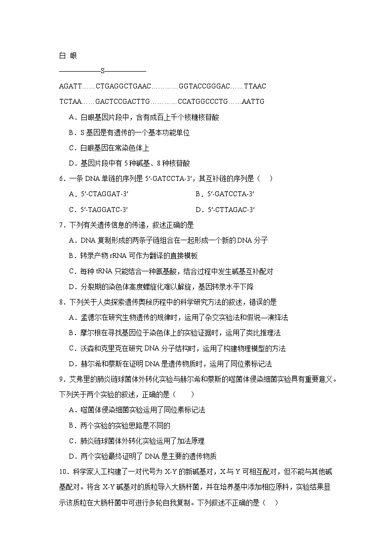 人教版（2019）高中生物必修二第3章基因的本质 章末总结 单元测试B卷 原卷版第2页