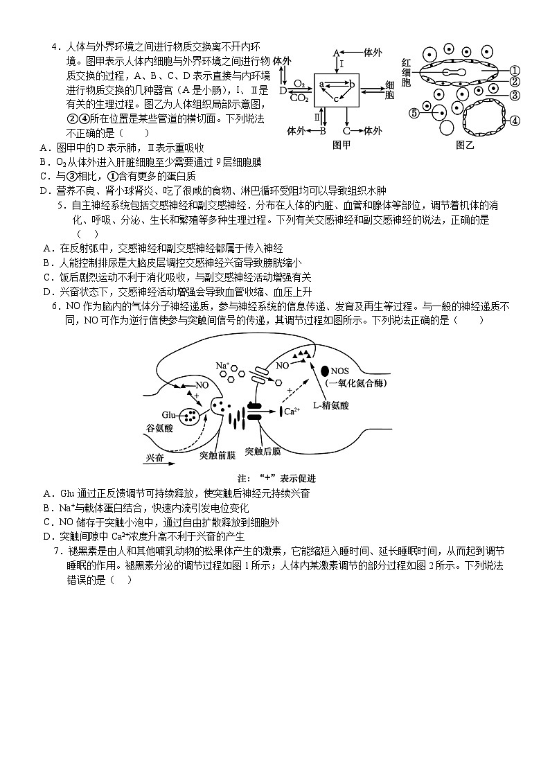 2025年普通高中学业水平选择性考试（模拟）生物第2页