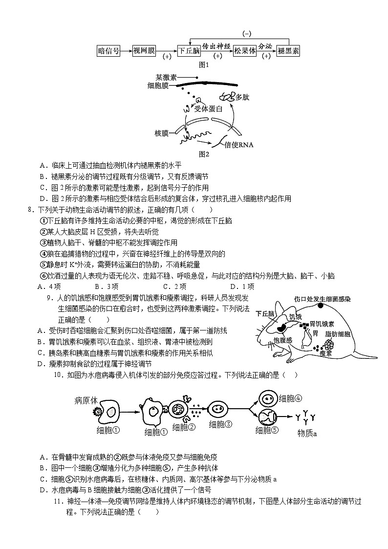 2025年普通高中学业水平选择性考试（模拟）生物第3页