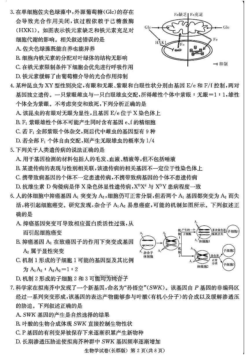 湖南省长沙市长郡中学2025届高三下学期高考模拟考试（二）生物试卷（含答案）第2页