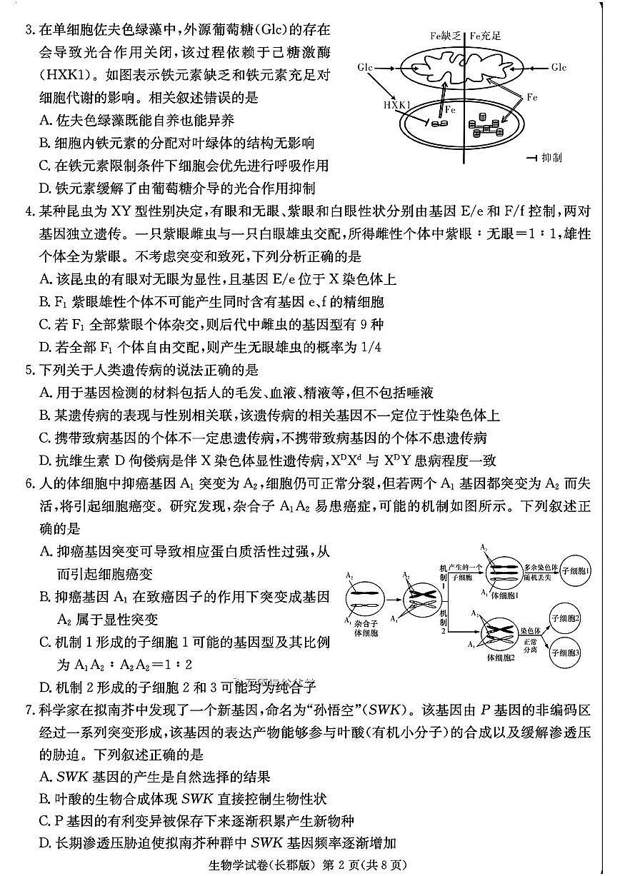 湖南省长沙市长郡中学2025届高三下学期高考模拟考试（二）生物试卷（含答案）第2页