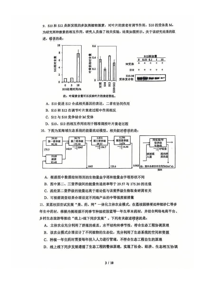 2025北京人大附中高三三模[高考模拟]生物试卷（教师版）第3页