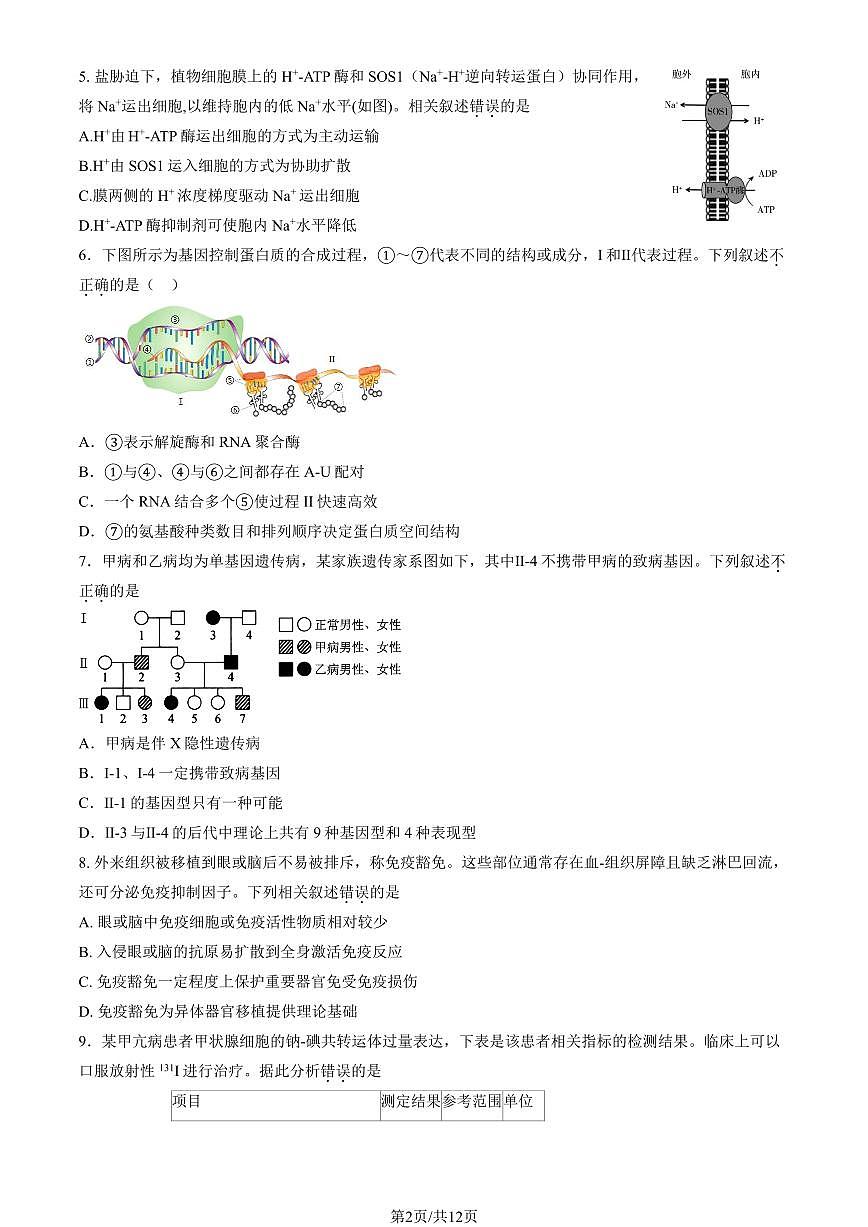 2025北京三十五中高三下5月月考生物试卷（教师版）第2页