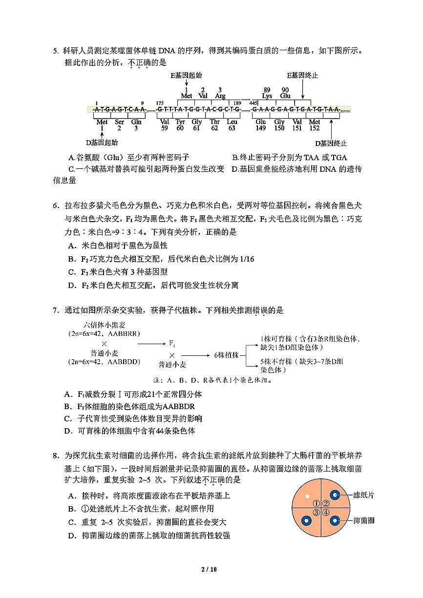 2025北京中关村中学高三考前热身生物试卷第2页