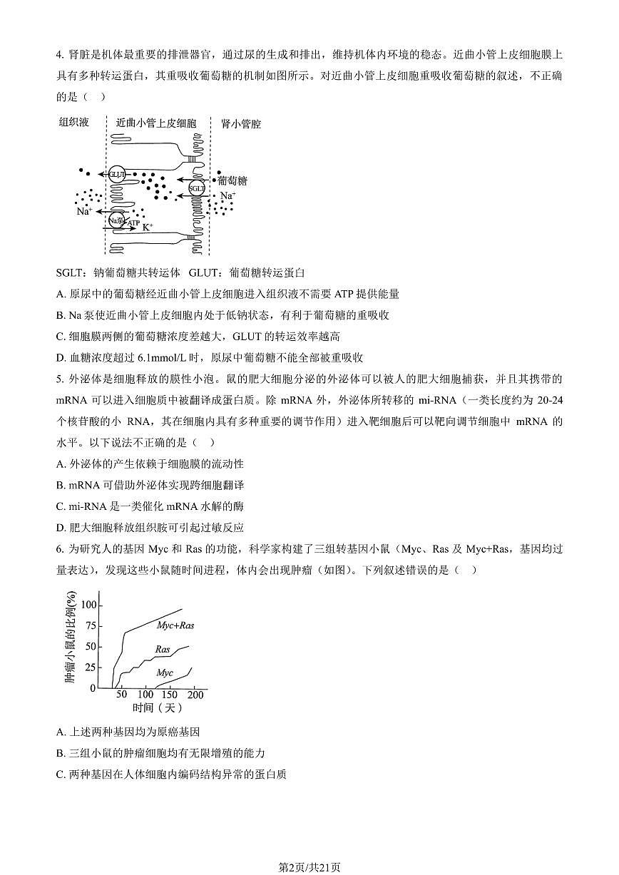 2023北京大兴精华学校高三三模[高考模拟]生物试卷（教师版）第2页