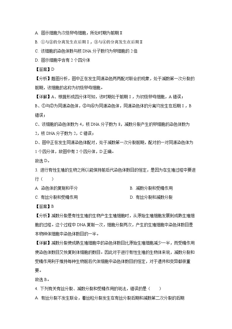 江苏省扬州市高邮市2023-2024学年高一下学期3月月考生物试卷（解析版）第2页