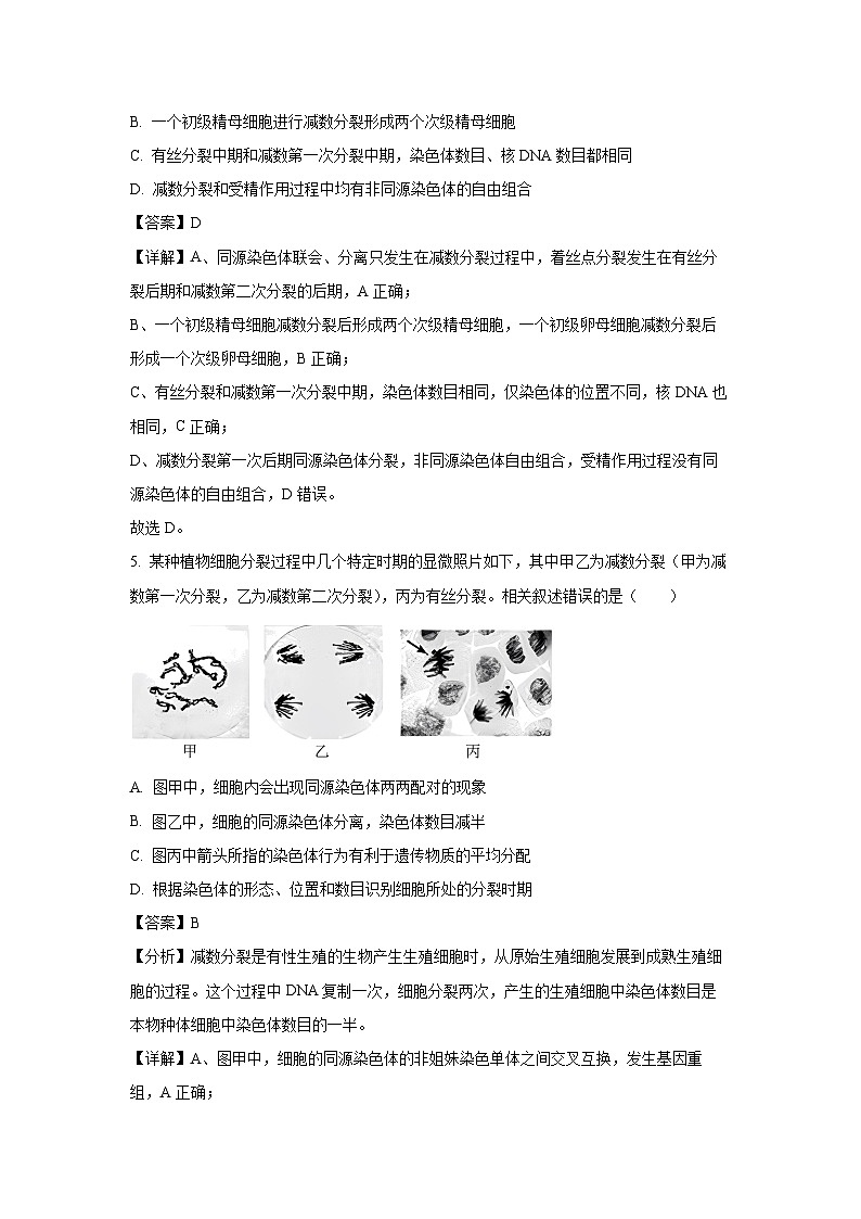 江苏省扬州市高邮市2023-2024学年高一下学期3月月考生物试卷（解析版）第3页