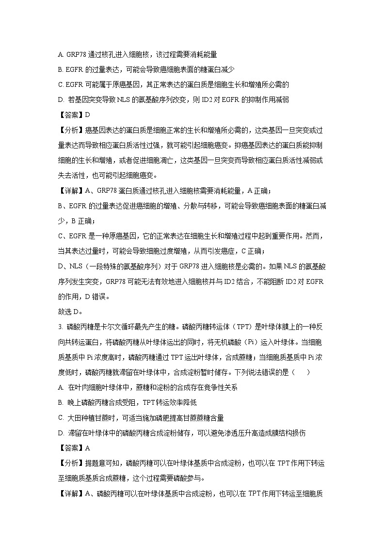 2024届山东名校考试联盟高三下学期二模生物试卷（解析版）第2页