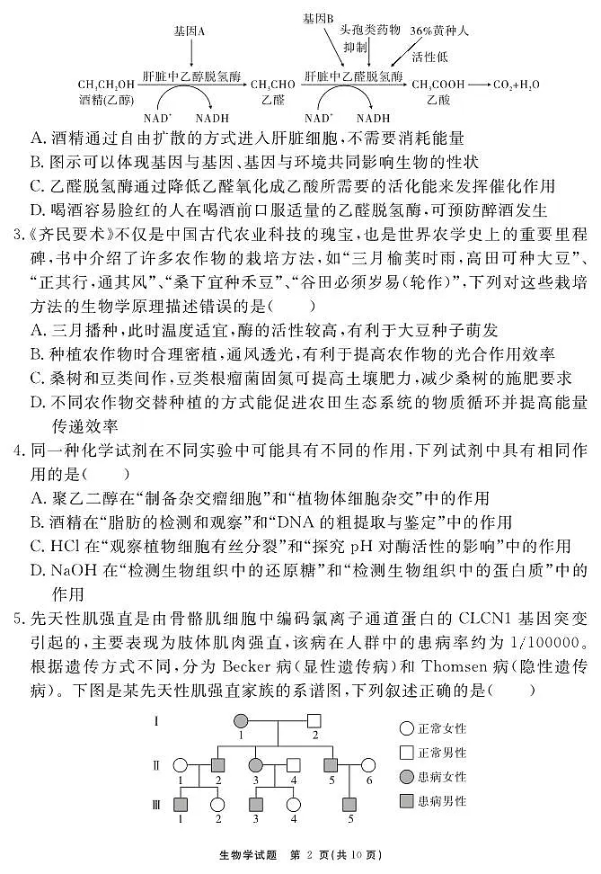 合肥一六八中学2025届高三最后一卷 生物试题第2页