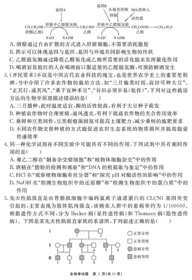 合肥一六八中学2025届高三最后一卷 生物试题第2页
