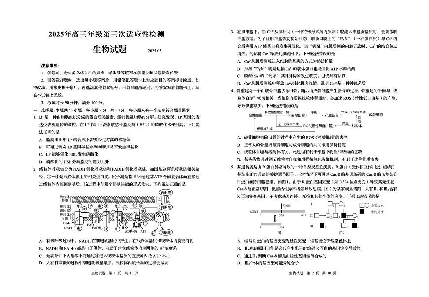 2025年山东省青岛市高三下学期5月第三次适应性检测生物试卷（中考模拟）第1页