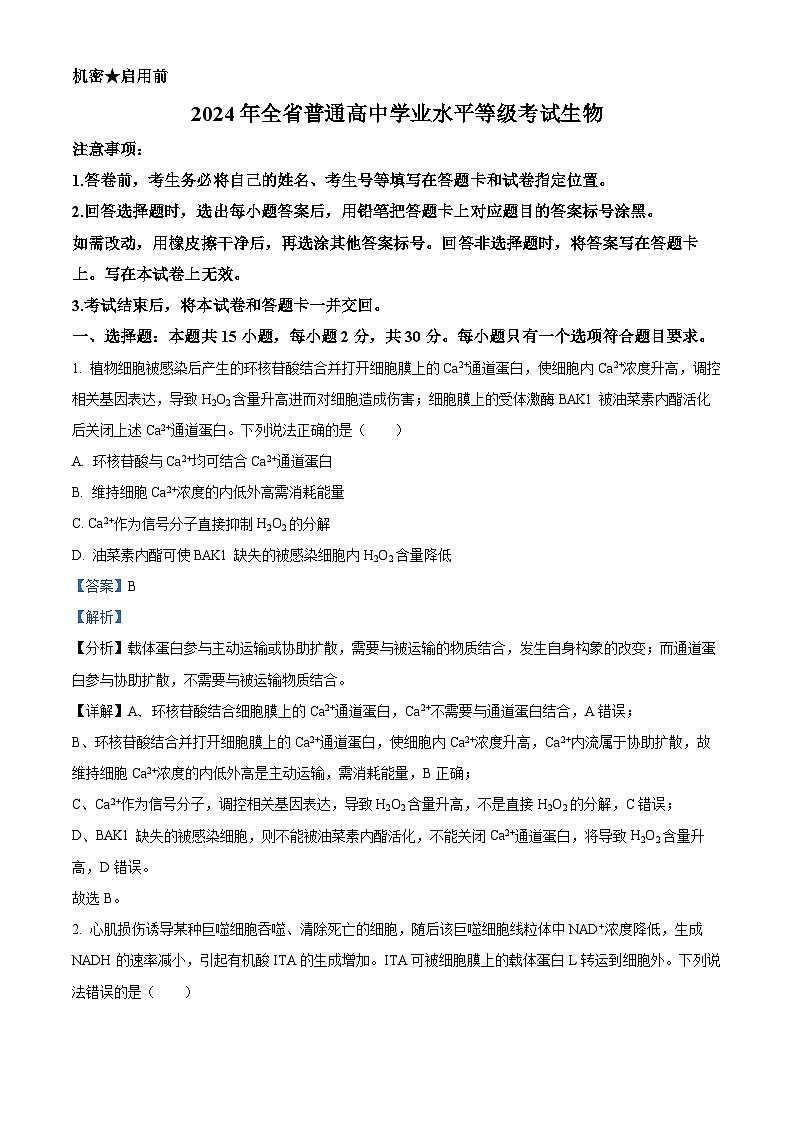 精品解析：2024年新课标高考真题山东卷生物（解析版）第1页