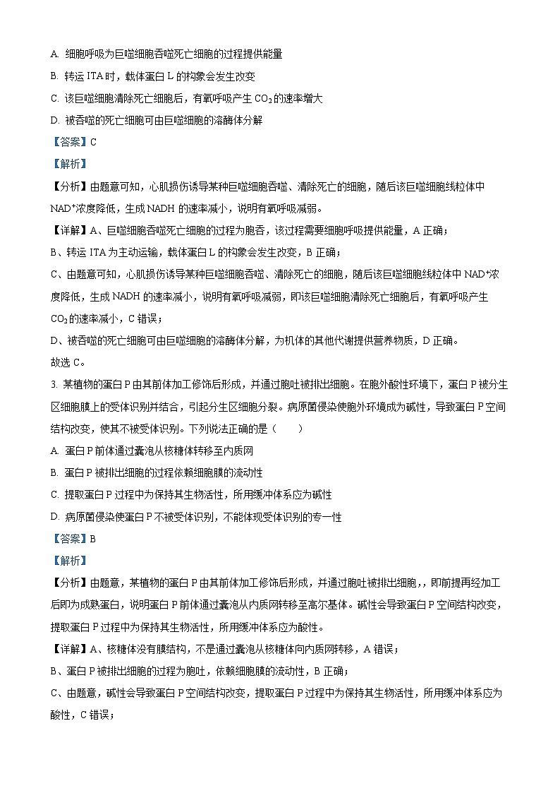 精品解析：2024年新课标高考真题山东卷生物（解析版）第2页