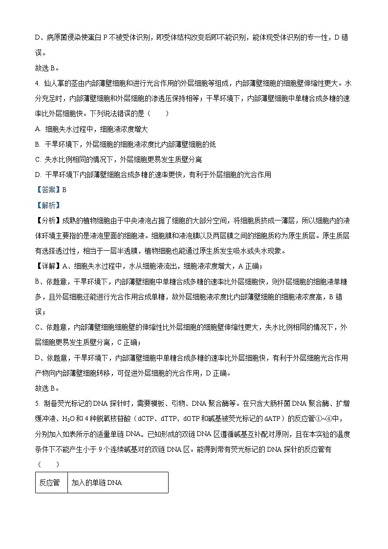 精品解析：2024年新课标高考真题山东卷生物（解析版）第3页
