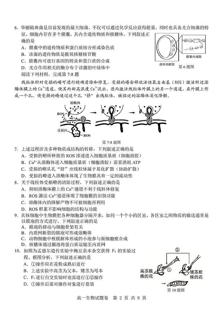 浙江省杭州地区（含周边）重点中学2024-2025学年高一下学期期中考试生物试卷（PDF版，含答案）第2页
