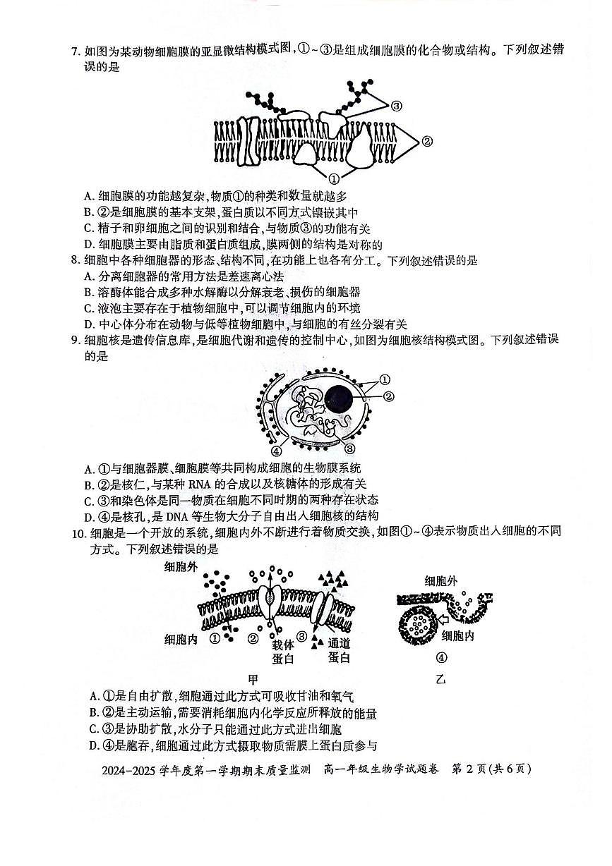 贵州省六盘水市2024-2025学年高一上学期期末生物试卷（扫描版无答案）第2页