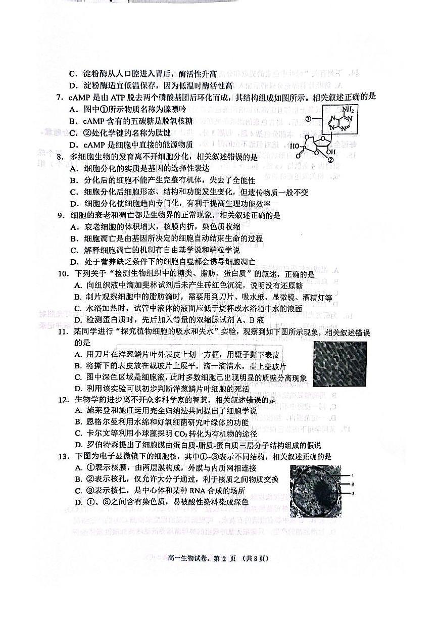江苏省南通市2024-2025学年高一上学期1月期末学业质量监测生物试卷(扫描片无答案)第2页