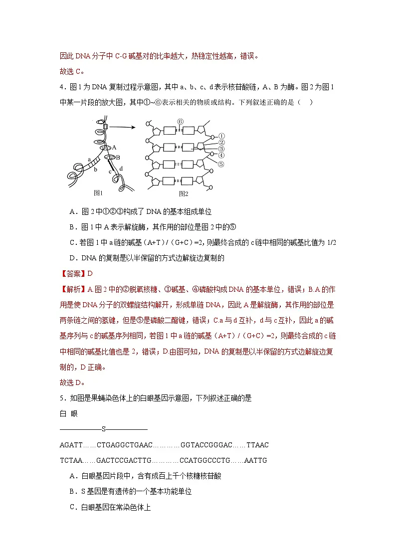 人教版（2019）高中生物必修二第3章基因的本质 章末总结 单元测试B卷 解析版第2页