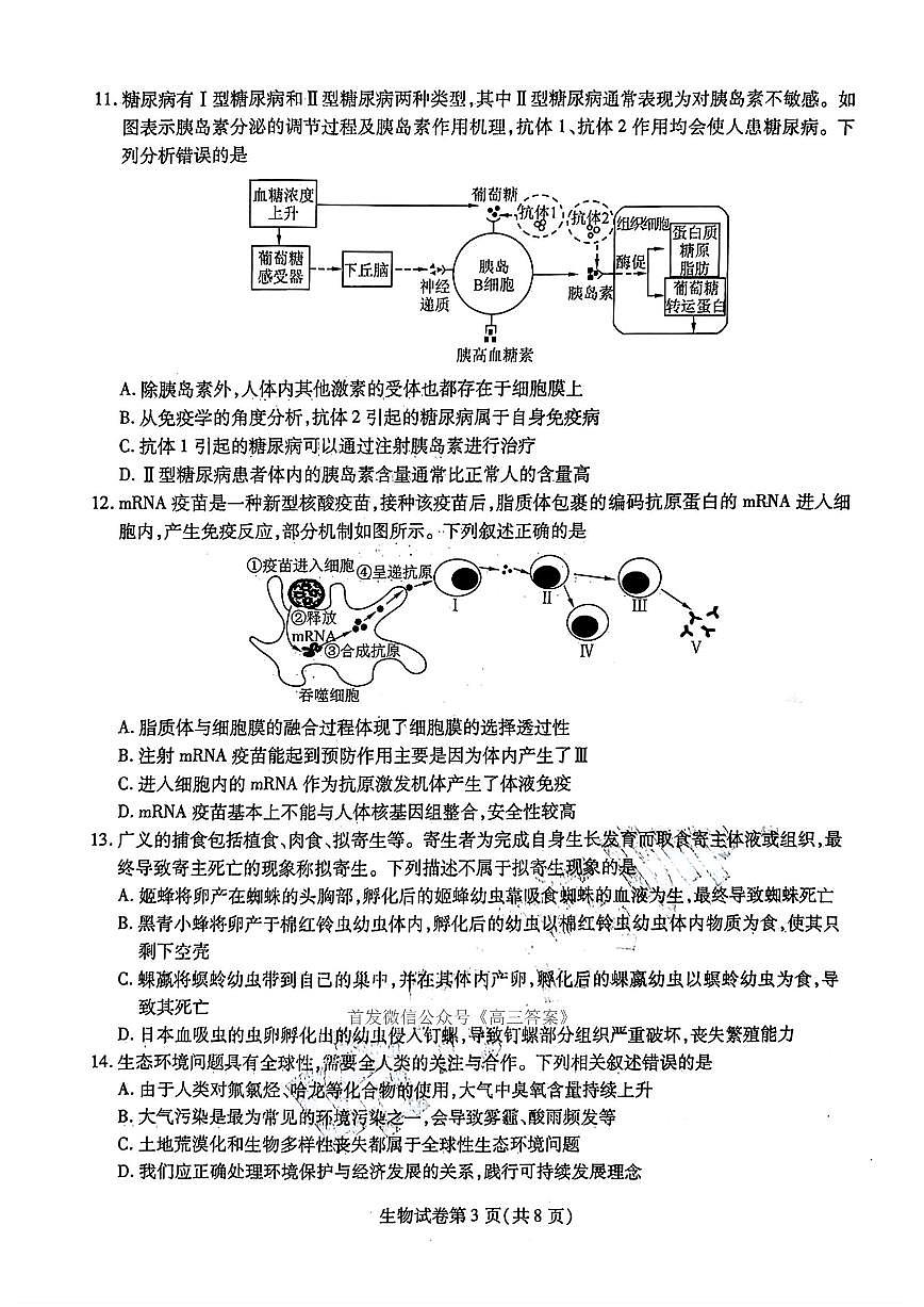 生物第3页