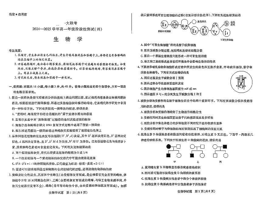 生物-河南天一大联考2024-2025高一下学期5月阶段性测试（四）试题及答案第1页