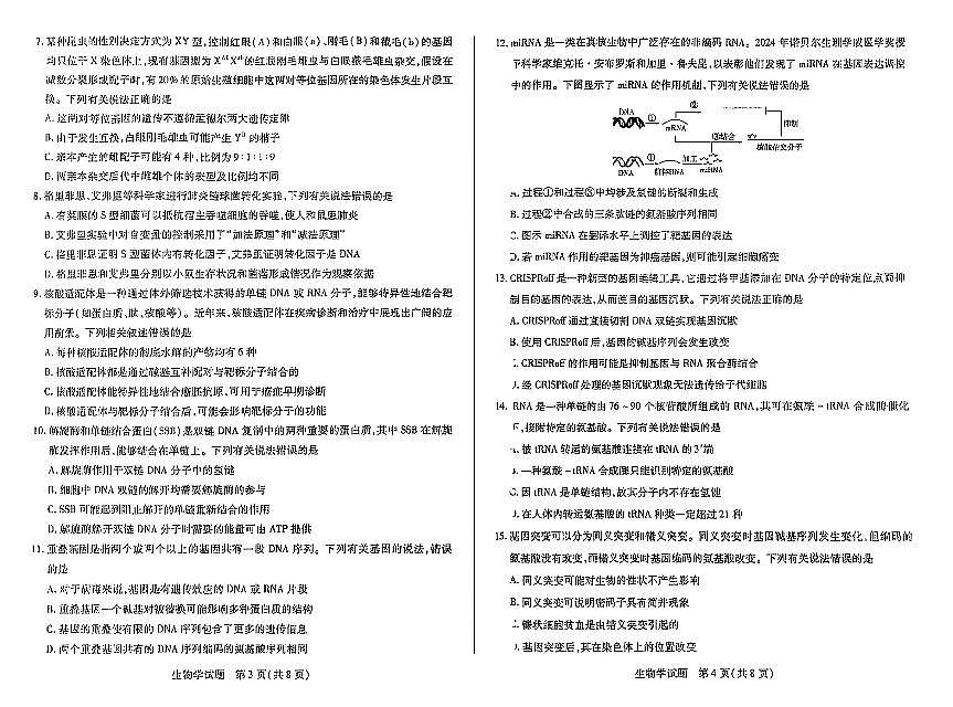 生物-河南天一大联考2024-2025高一下学期5月阶段性测试（四）试题及答案第2页