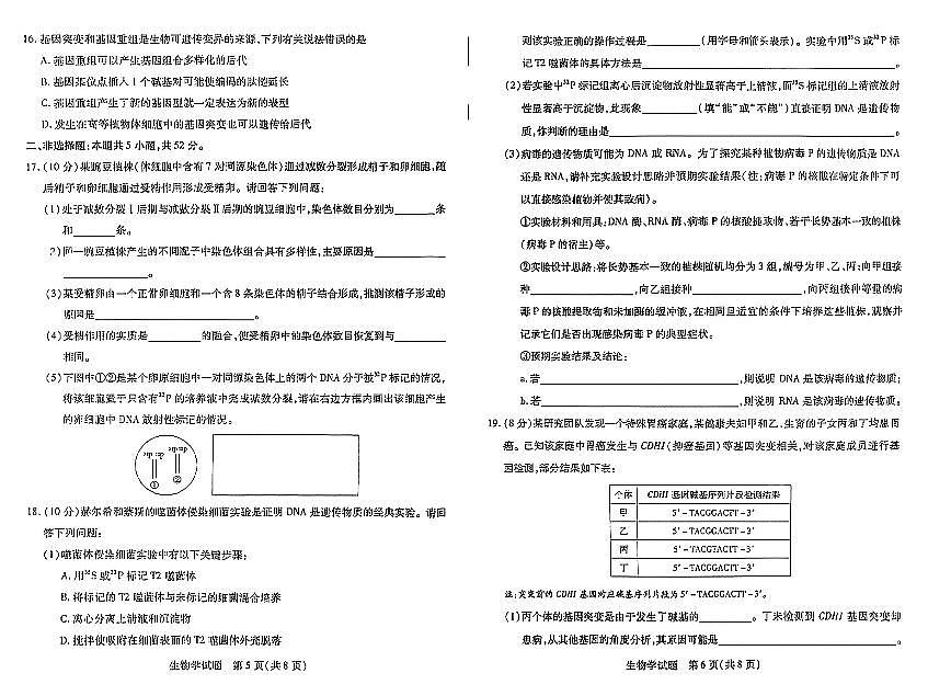 生物-河南天一大联考2024-2025高一下学期5月阶段性测试（四）试题及答案第3页