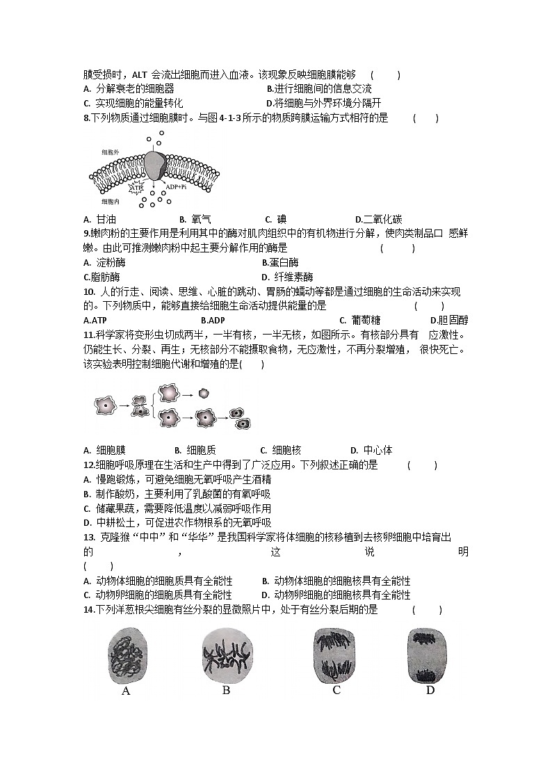2024年河南省普通高中学业水平合格性考试生物试卷（中考模拟）第2页
