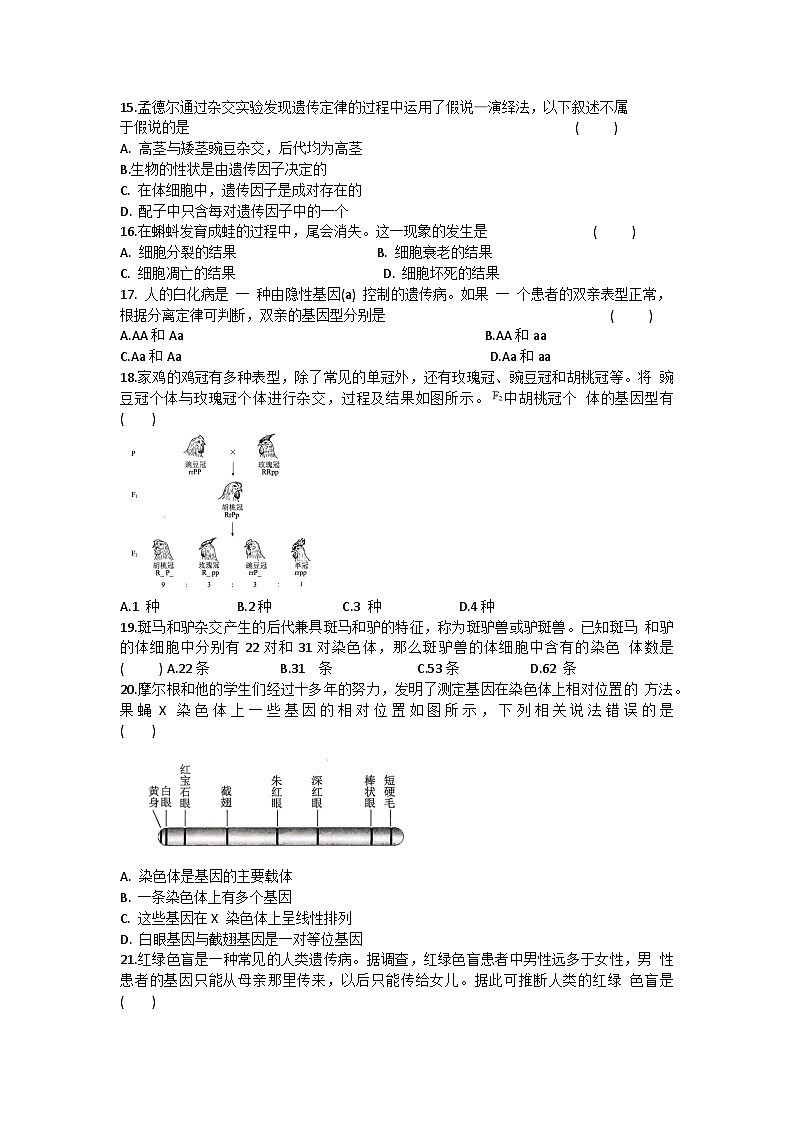 2024年河南省普通高中学业水平合格性考试生物试卷（中考模拟）第3页