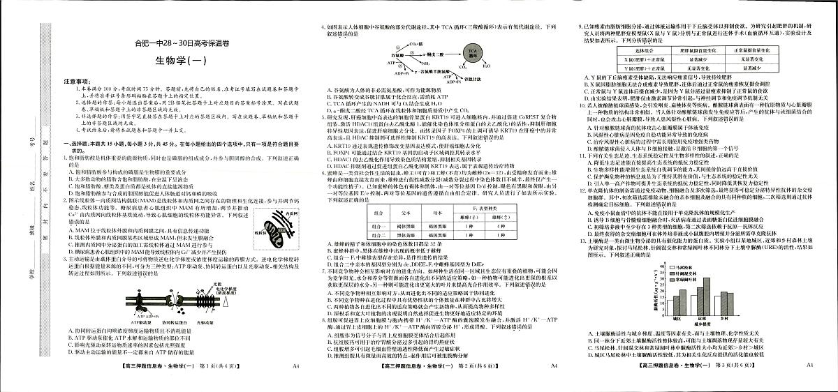 2025届安徽省示范高中合肥一中高三保温卷生物试卷（高考模拟 ）第1页