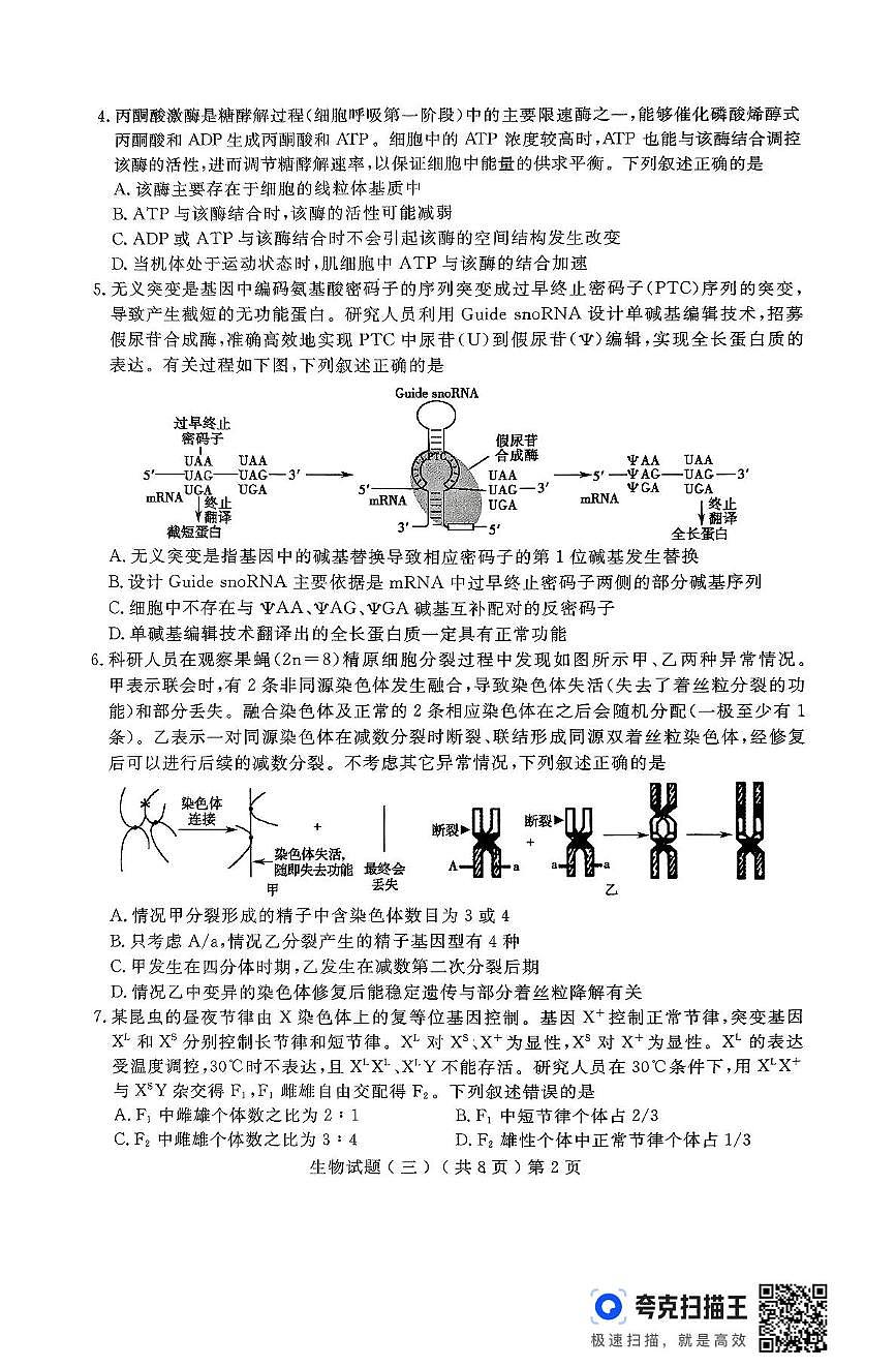 2025届山东省聊城市高三三模生物试题（高考模拟 ）第2页