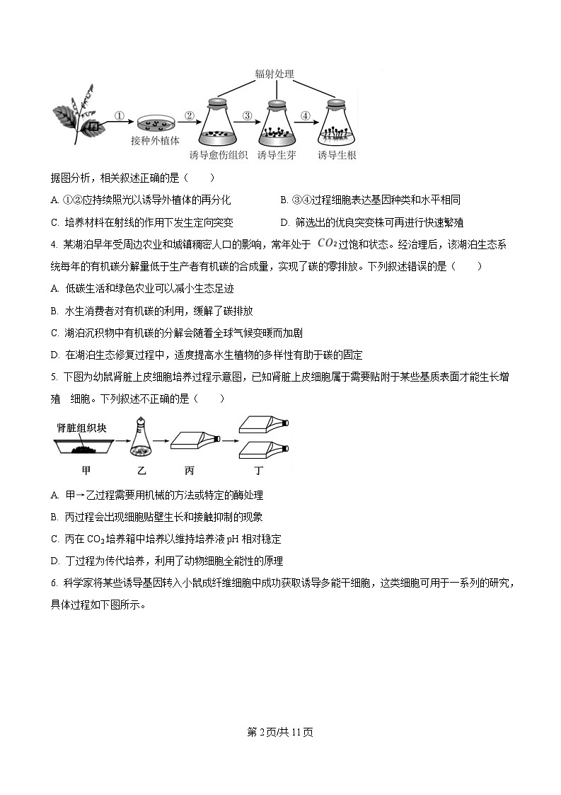 四川省广安中学2024-2025学年高二下学期第二次月考生物试题（原卷版）第2页
