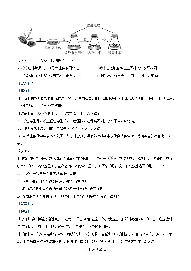 四川省广安中学2024-2025学年高二下学期第二次月考生物试题 Word版含解析第3页