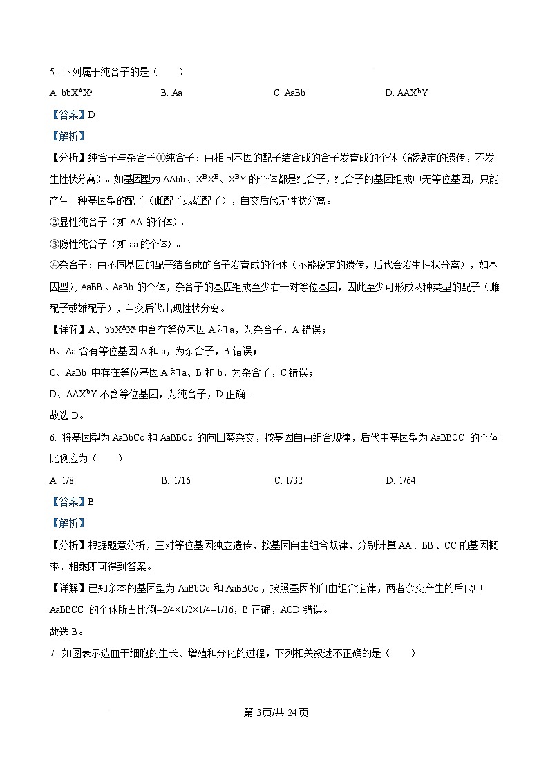 四川省内江市第一中学2024-2025学年高一下学期期中考试生物试题 Word版含解析第3页
