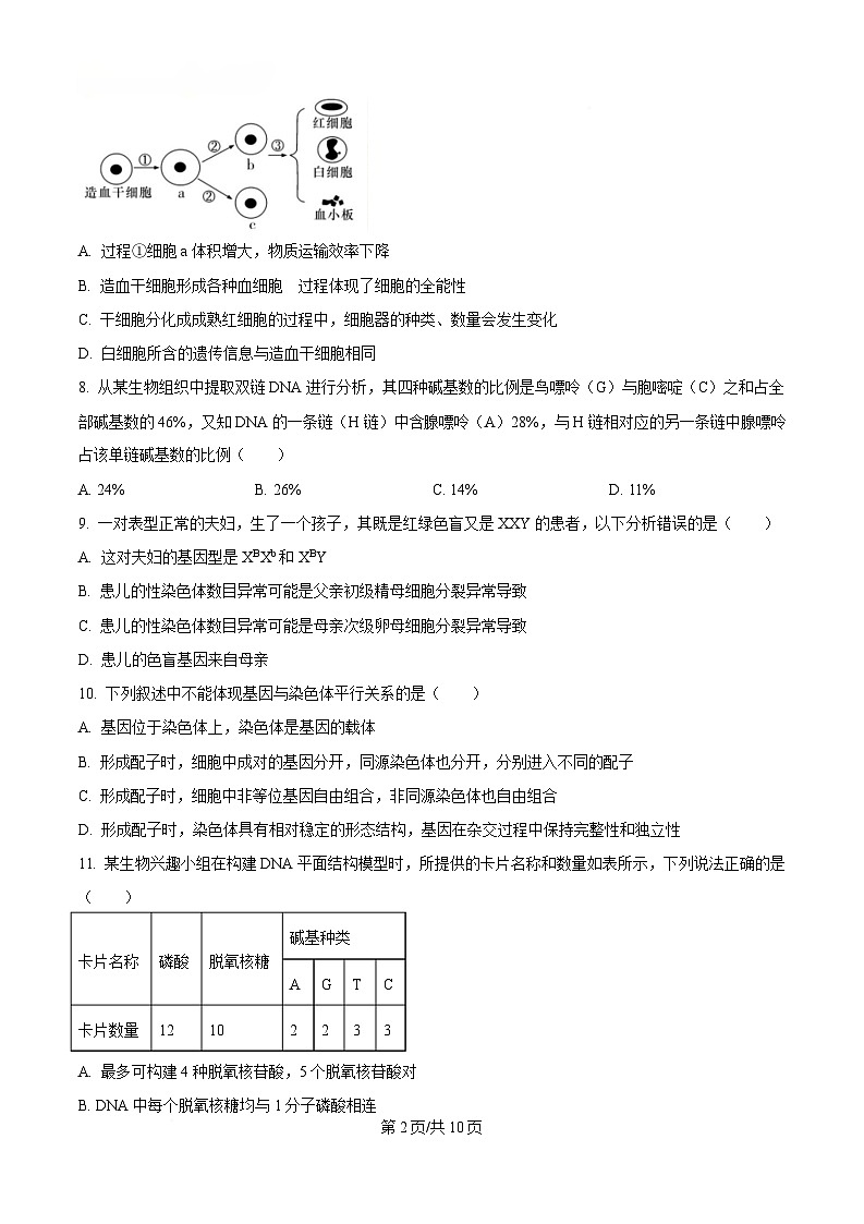 四川省内江市第一中学2024-2025学年高一下学期期中考试生物试题（原卷版）第2页