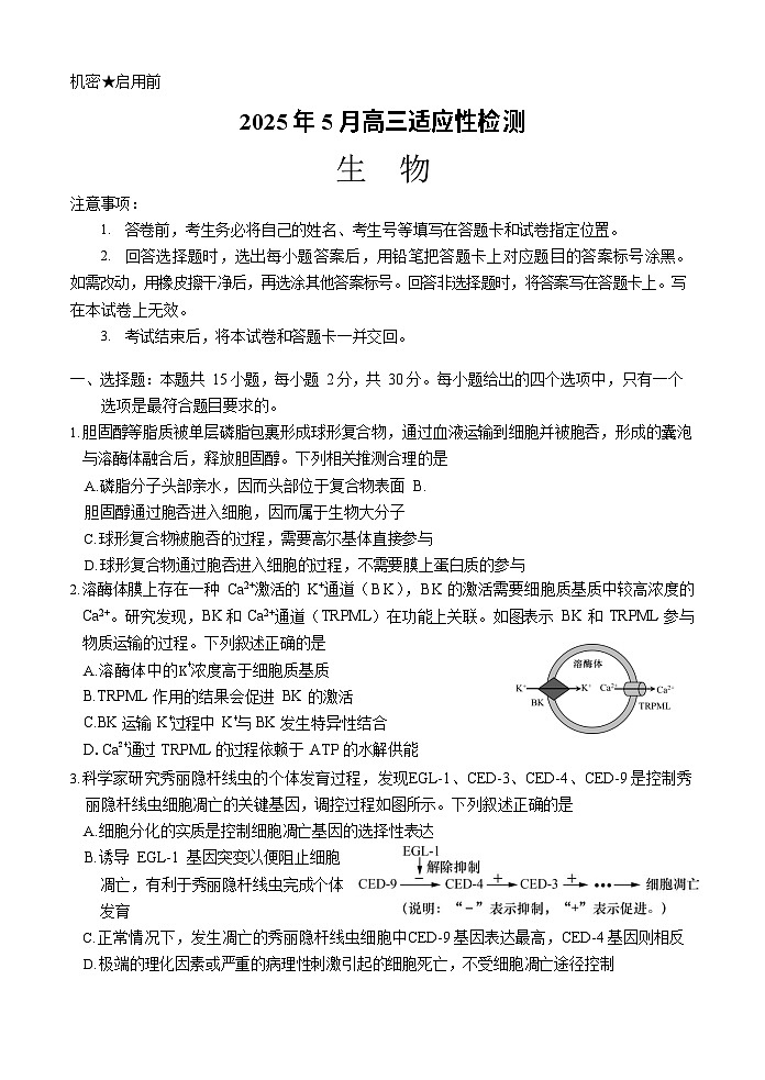 2025届山东师范大学附属中学高三考前打靶适应性检测 生物试题及答案第1页
