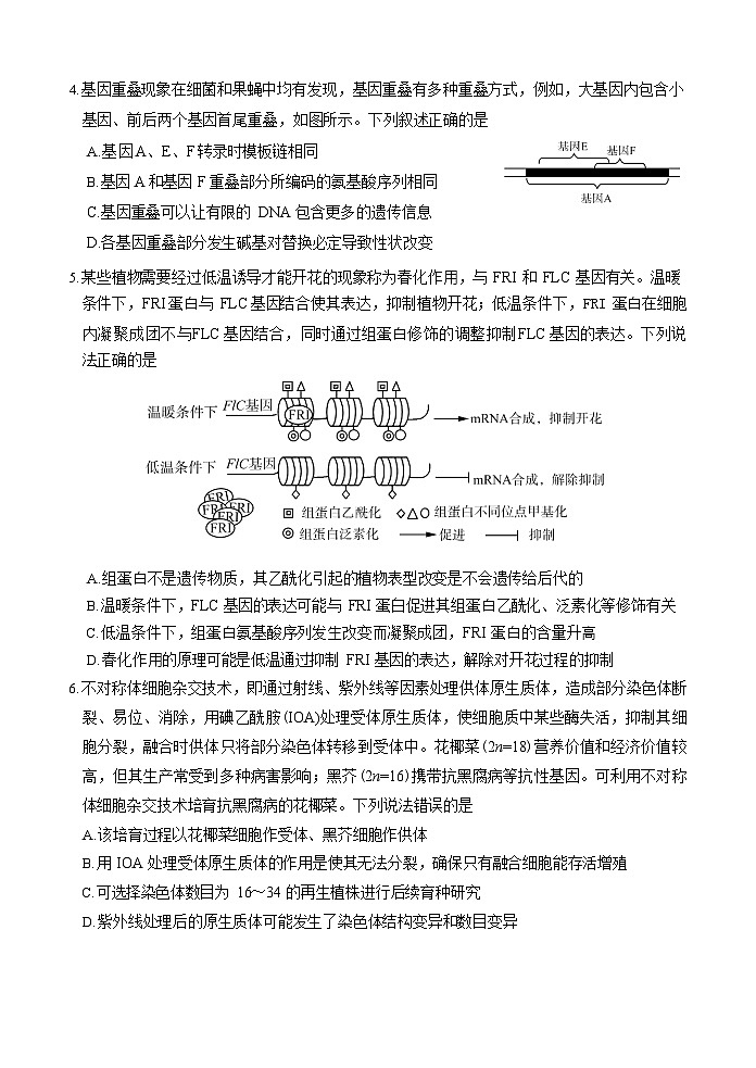 2025届山东师范大学附属中学高三考前打靶适应性检测 生物试题及答案第2页