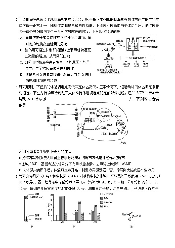 2025届山东师范大学附属中学高三考前打靶适应性检测 生物试题及答案第3页