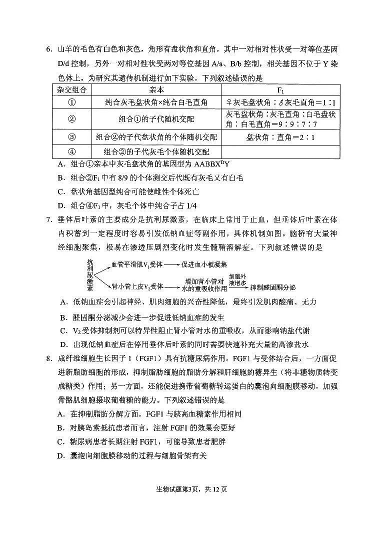 2025届山东省实验中学高三二模考试 生物试题及答案第3页