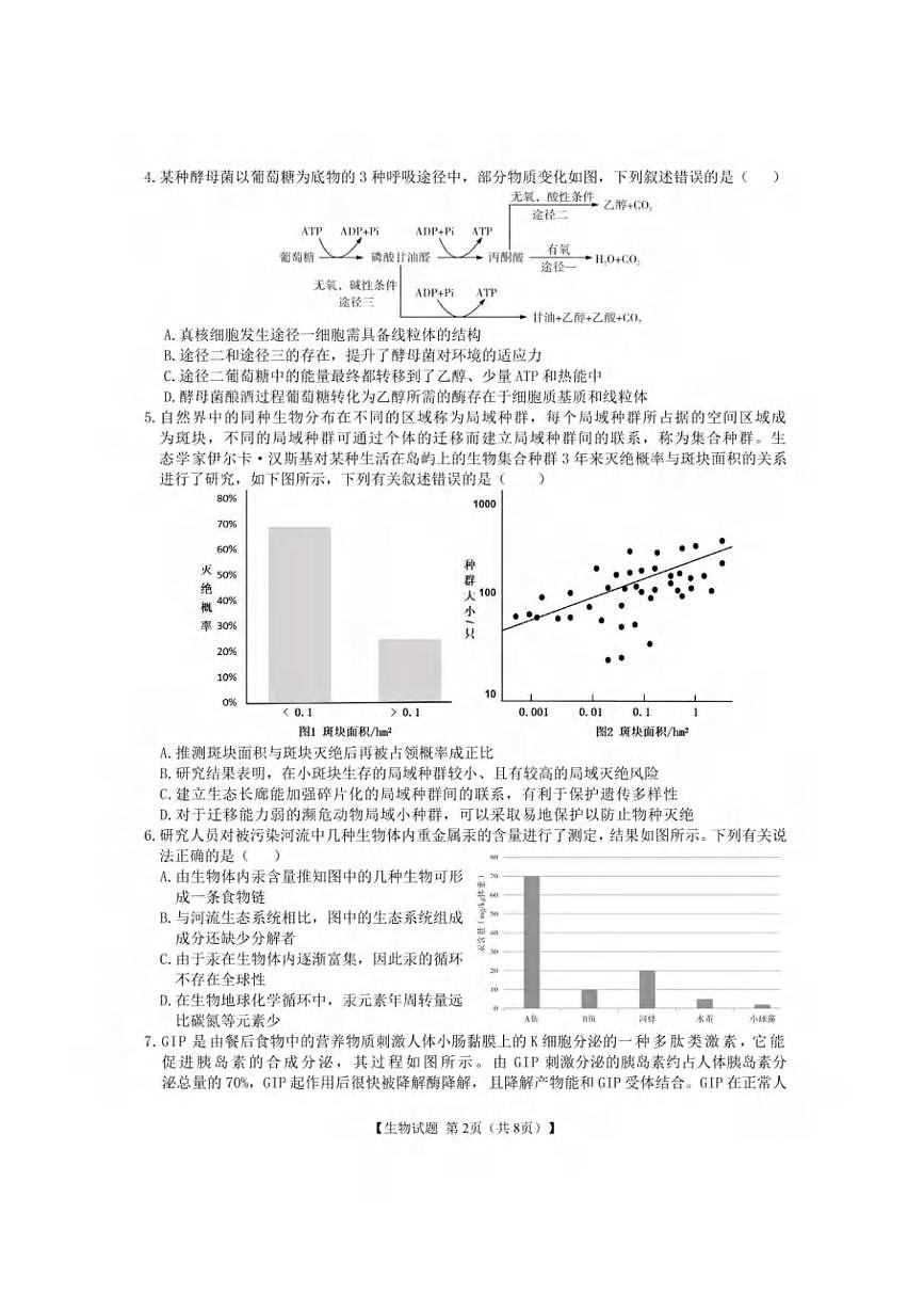 生物丨安徽省合肥市第八中学2025届高三下学期5月最后一卷试卷及答案第2页