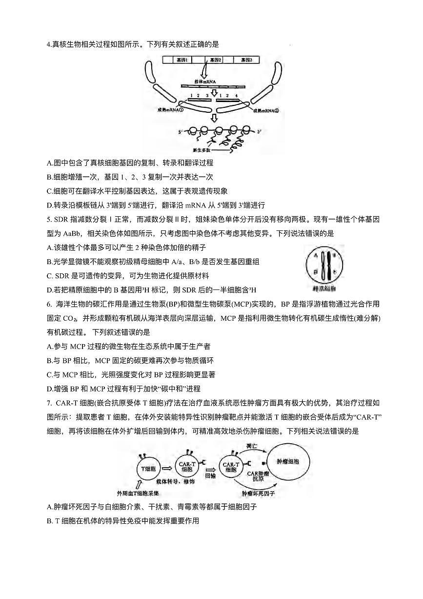 生物丨吉林省长春市东北师范大学附属中学2025届高三下学期5月第五次模拟考试试卷及答案第2页