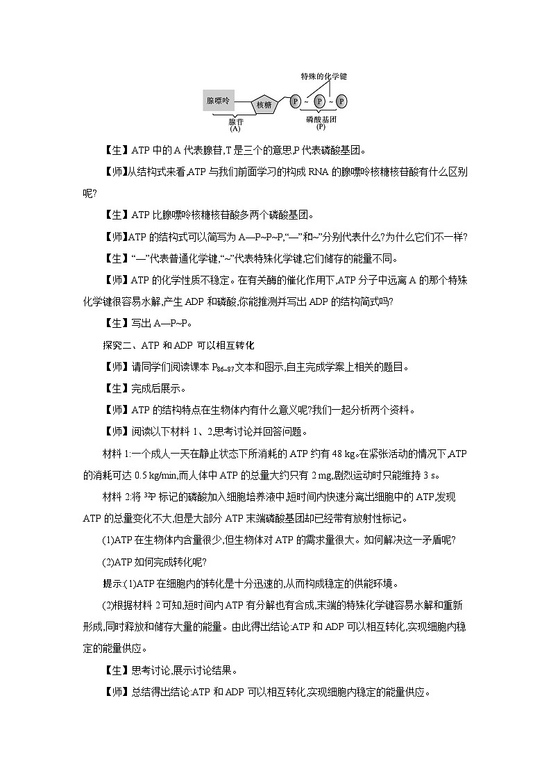 高中生物 第5章 第2节细胞的能量“货币”ATP 教案1第3页