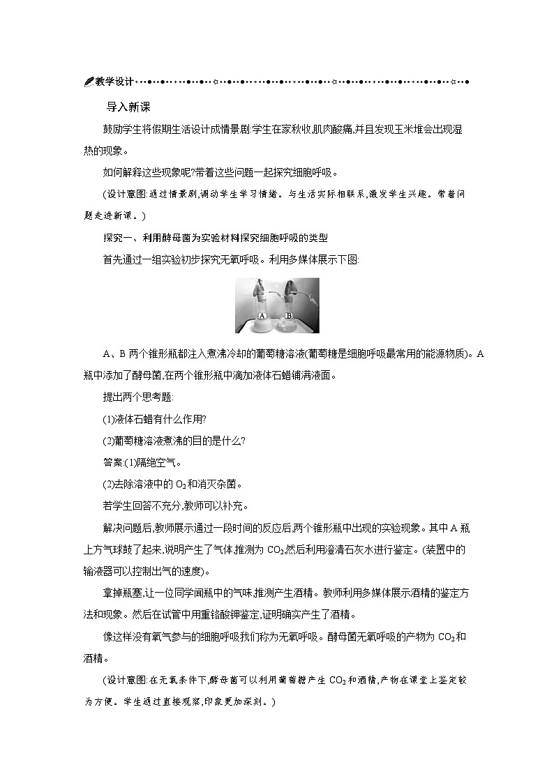 高中生物 第5章 第3节细胞呼吸的原理和应用 教案2第2页