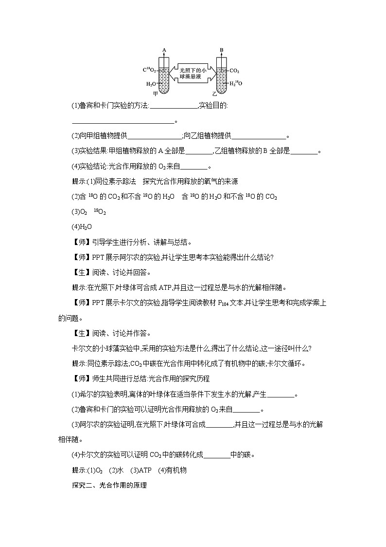 高中生物 第5章 第4节二光合作用的原理和应用 教案1第3页