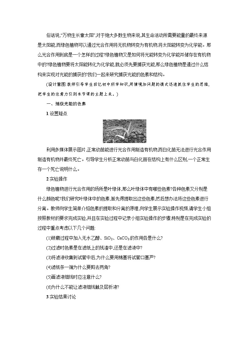 高中生物 第5章 第4节一捕获光能的色素和结构 教案2第2页